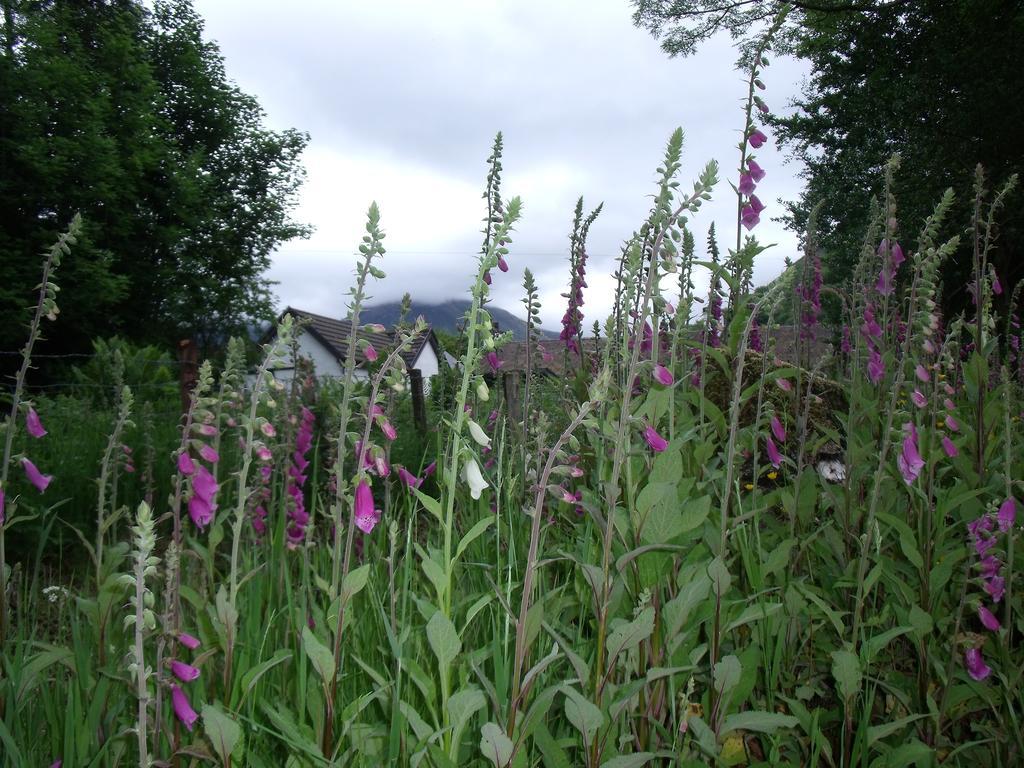 Beechwood Cottage B&B Glencoe Exterior foto
